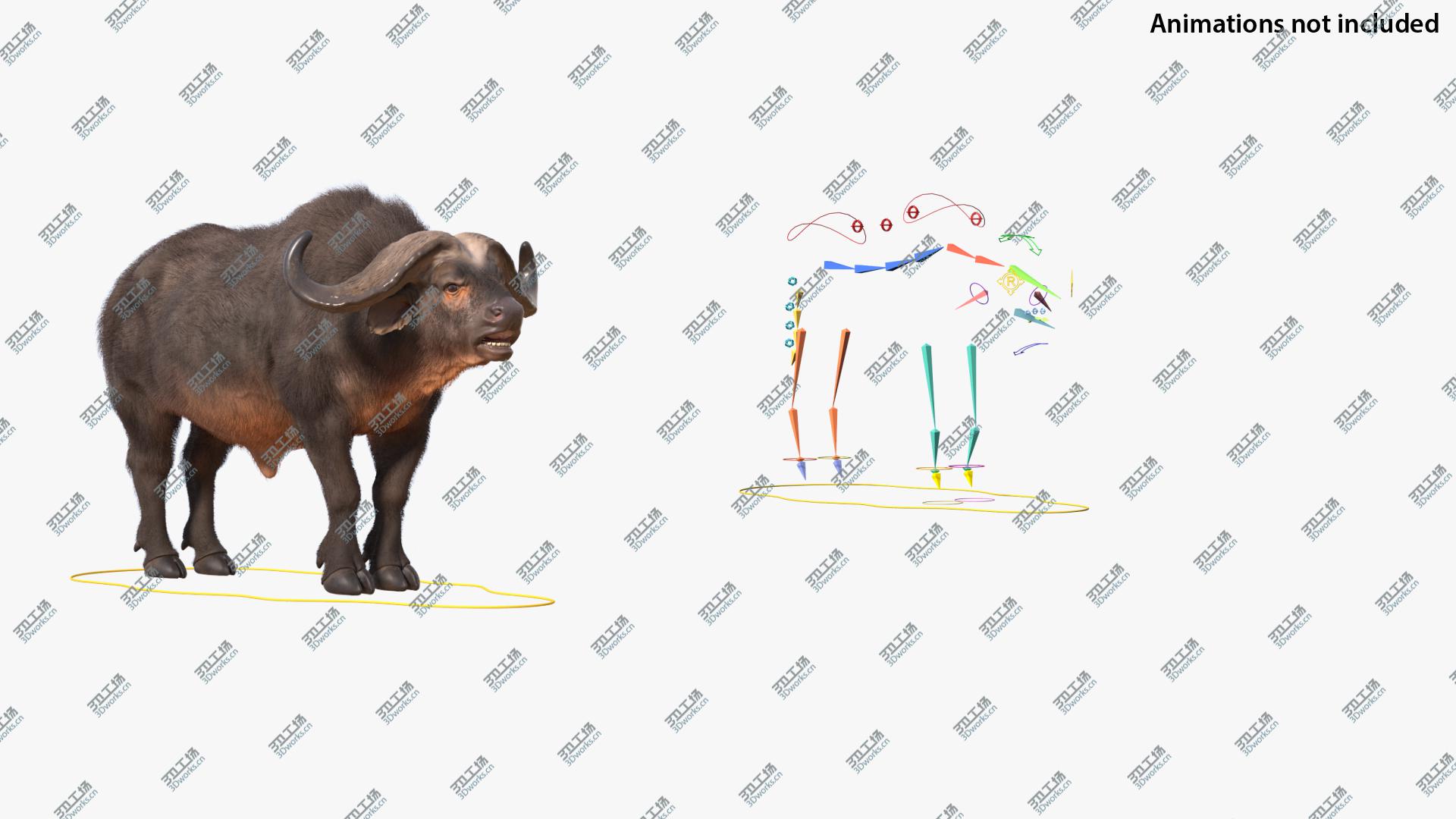 images/goods_img/202104093/Cape Buffalo African Buffalo with Fur Rigged 3D/2.jpg